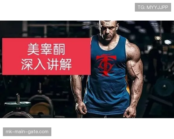 深入解析篮球球队犯规累计规则与相关判罚 深入解析篮球球队犯规累计规则与相关判罚